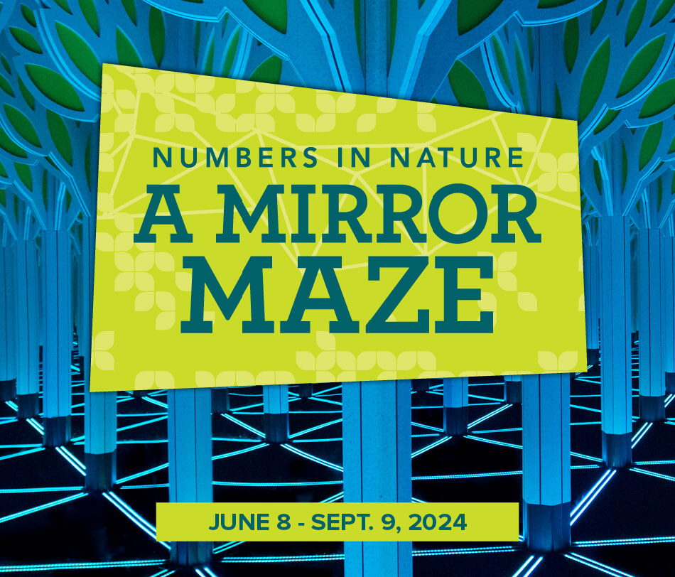 A Mirror Maze